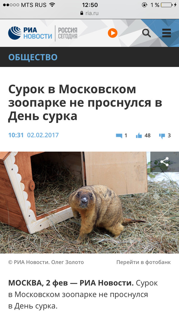 В тему о Дне сурка)