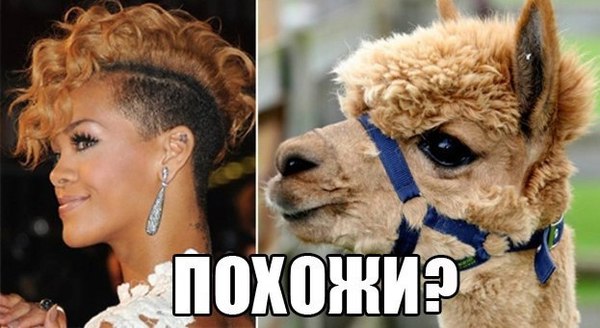 - Doctor, I want to be like Rihanna. - Done! - Lol, Similarity, Request