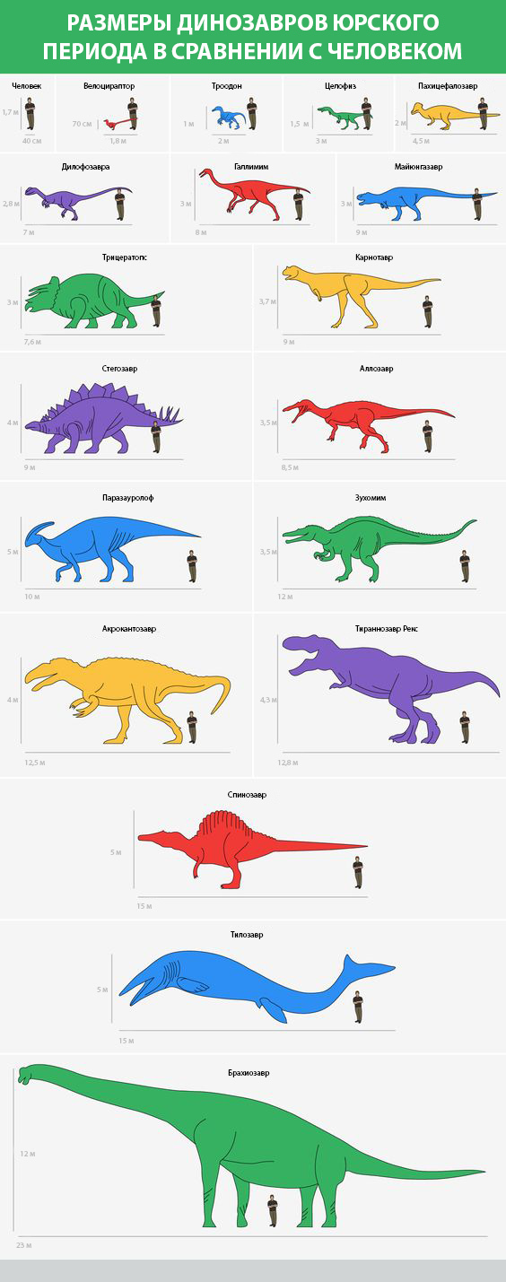 Dinosaur VS Human - Dinosaurs, Comparison, Informative, Longpost