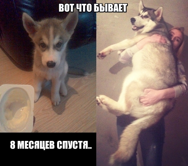 &quot; - &quot;   ,    ..