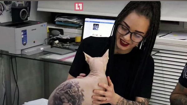 Вечер в хату, часик в радость, вискас в сладость...