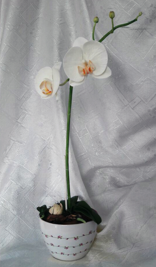 Orchid, molded by hand. - My, Orchids, Polymer floristry, Cold porcelain, Handmade, My, Longpost