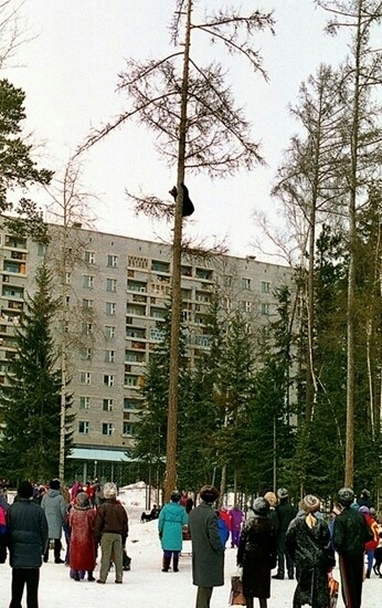 Siberian bears - Siberia, The Bears, Winter