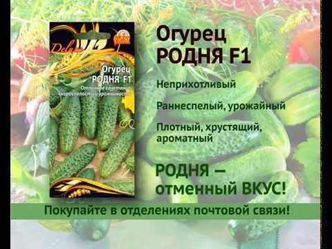 Family - excellent taste! - My, Advertising, Relatives, , Cucumbers