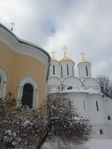 Walking around Yaroslavl :) - My, Yaroslavl, Church, Temple, Kremlin, Fishing, Travels, Tree, Longpost