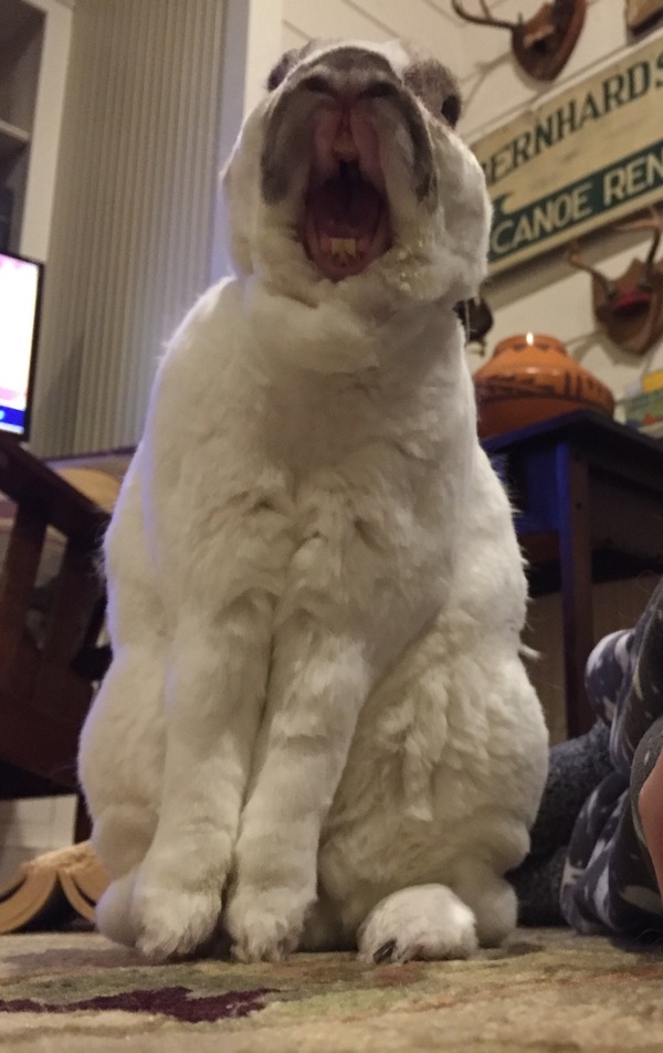 � ������� ������ ������� ����, ��� ��� ������ ������ .�� ����� , ��� ��� ����� ����� ������ ���� �����.