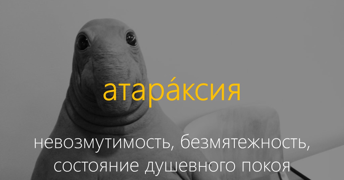 Атараксия | Пикабу