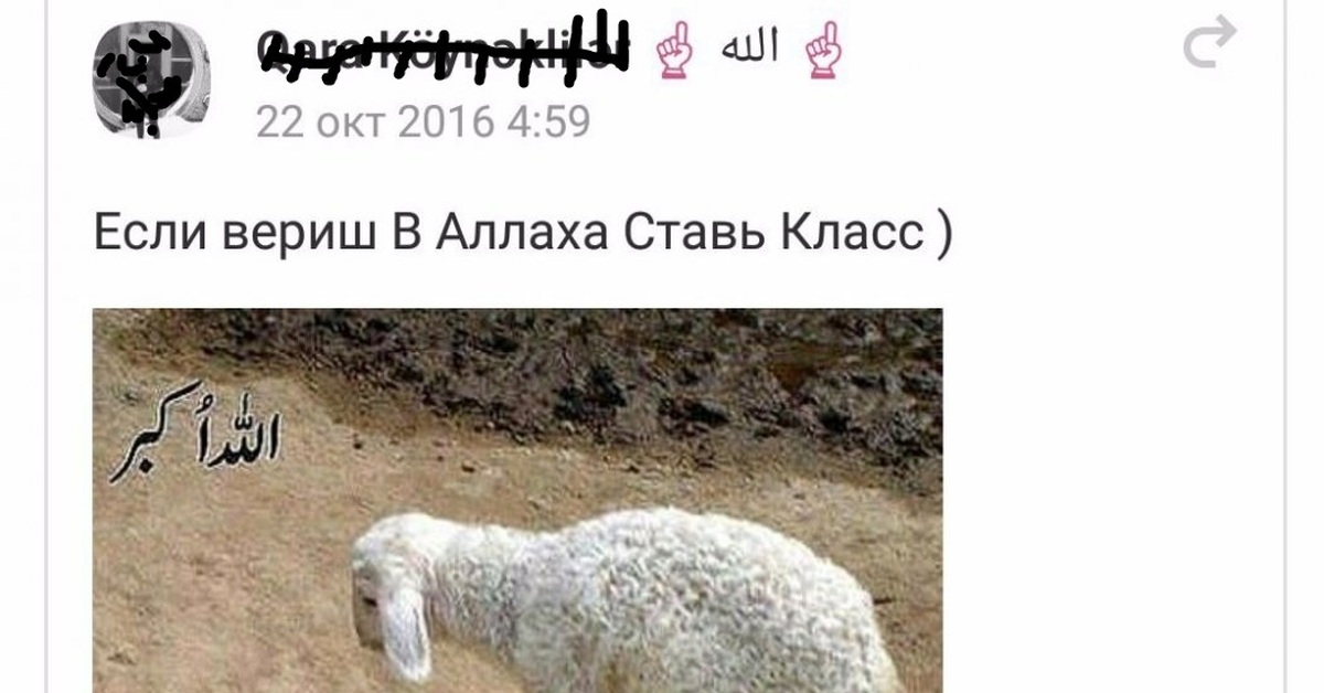 Русский ставь класс