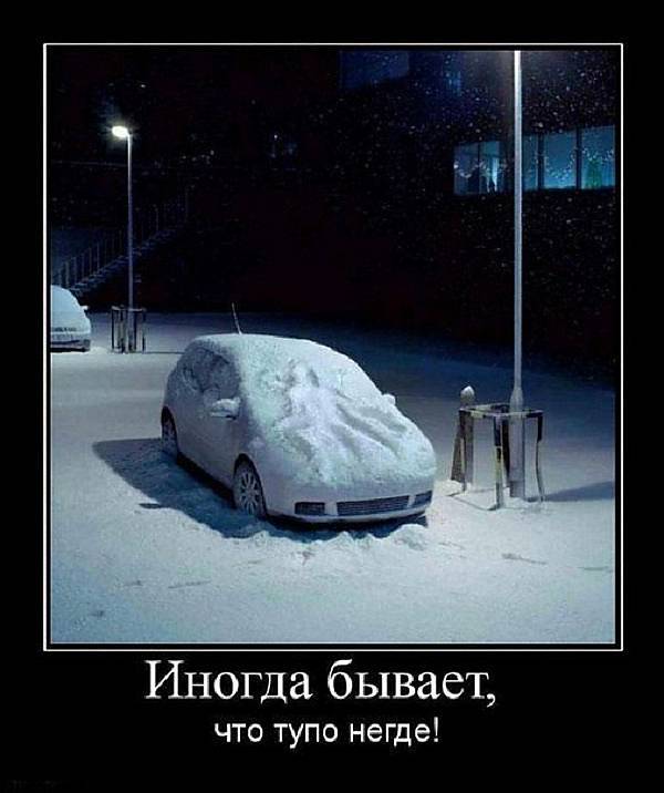 Demotivators, about winter for you) - Winter, cat, Snow, Demotivator, Longpost