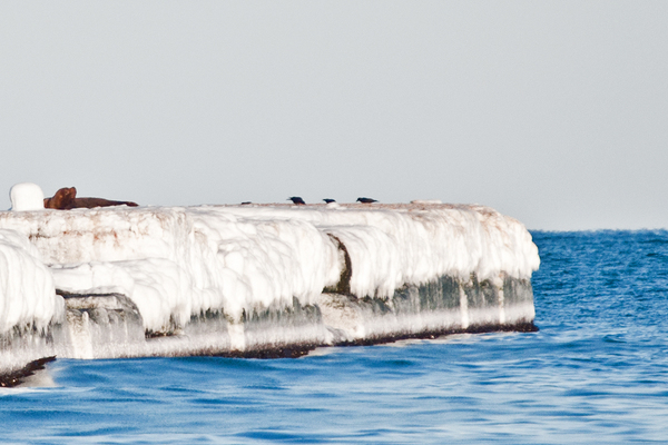 Pictures from Nevelsk - Sakhalin, My, Russia