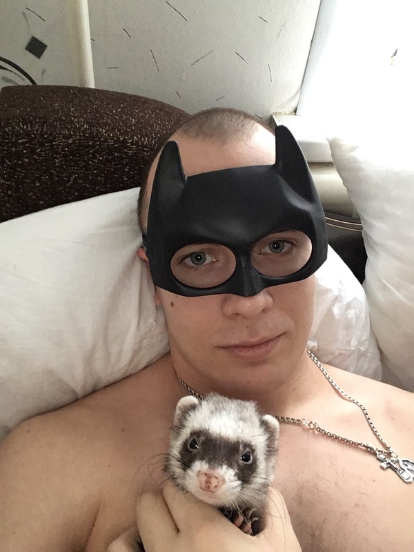 The New Adventures of Gotham Knights - Ferret, 