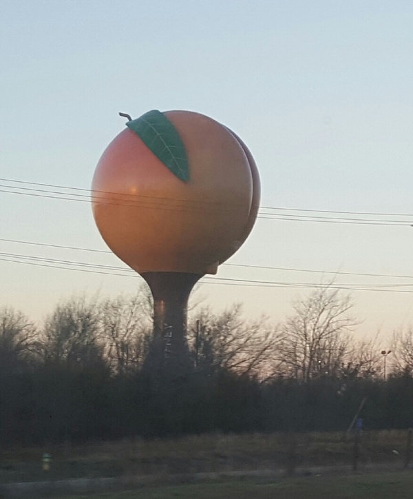 Water tower. - My, Georgia, Peach, Water tower, Peaches