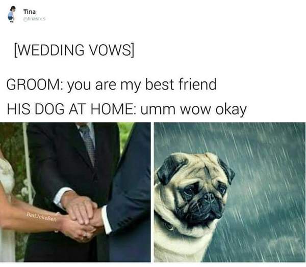 Best friend - Humor, Joke, Dog, Wedding, Friend, , The oath