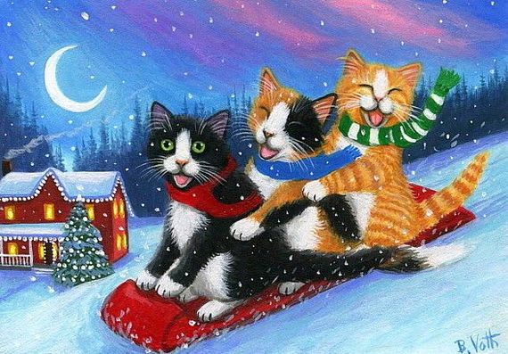 Winter, cats, sleigh - Winter, cat, Sled, 