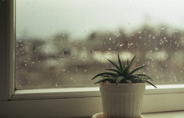 Window - My, Zenith TTL, The film did not die, Rain, Sadness