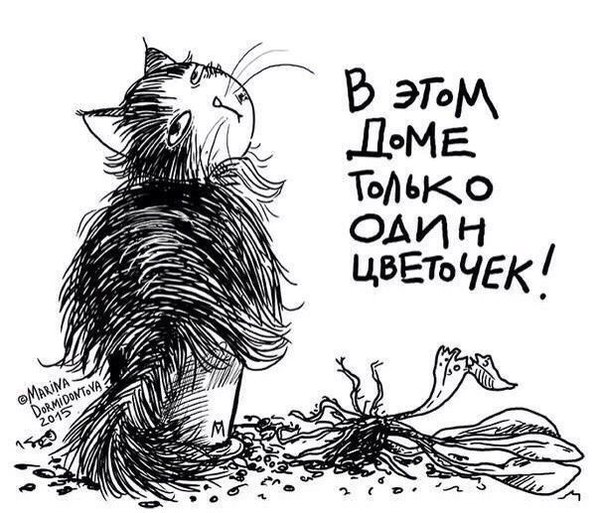 Red cat for good luck - My, Moscow, In good hands, cat, Prospekt Vernadskogo, Good league, Longpost