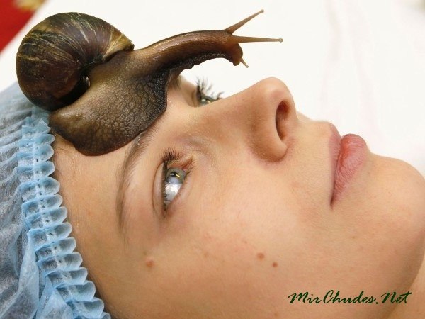 MASSAGE OF THE FACE WITH SNAILS - Face, Snail, Massage, Longpost