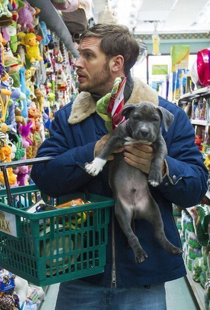 All dogs go to Hardy. - Tom Hardy, Dog, Animals, The photo, Longpost