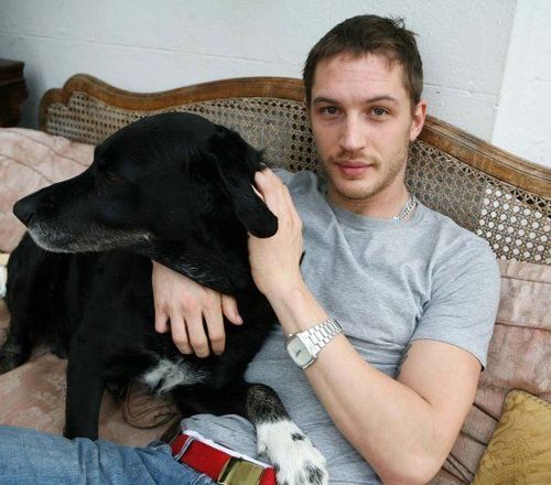 All dogs go to Hardy. - Tom Hardy, Dog, Animals, The photo, Longpost