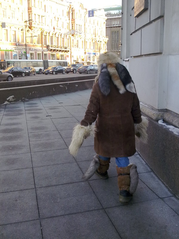 Hunter in St. Petersburg - Saint Petersburg, Winter, The photo