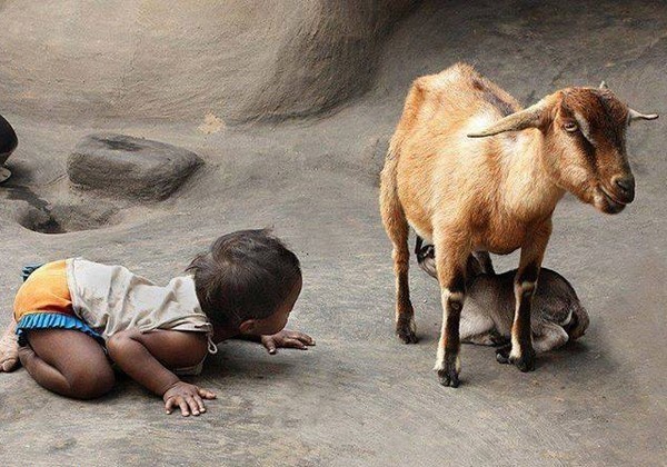 What is he doing there :) - Children, Animals