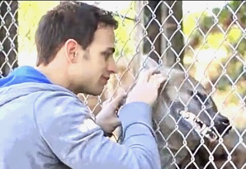 Модератор пикабу на свидании