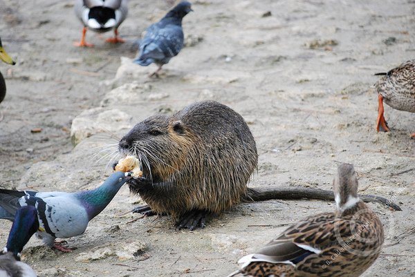 ��������.