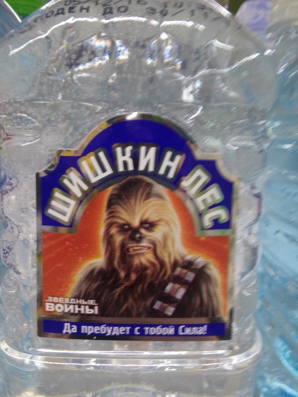 When you're Chewbacca and planted the Millennium Falcon in Russia - My, Chewbacca, Shishkin Forest, Star Wars