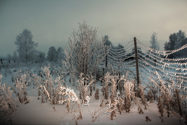 Migrants at the ZATO Border - My, Thorn, Winter, Zheleznogorsk, Canon