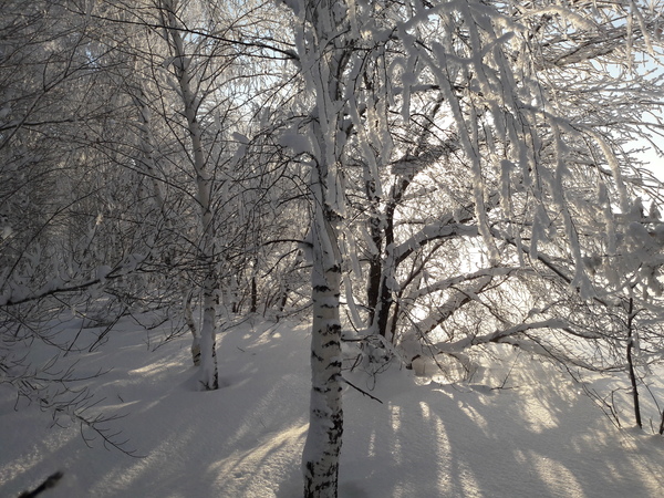 January 14 Orenburg region without filters - My, Nature, The photo, Winter, Steppe, Snow, Mobile photography, Longpost