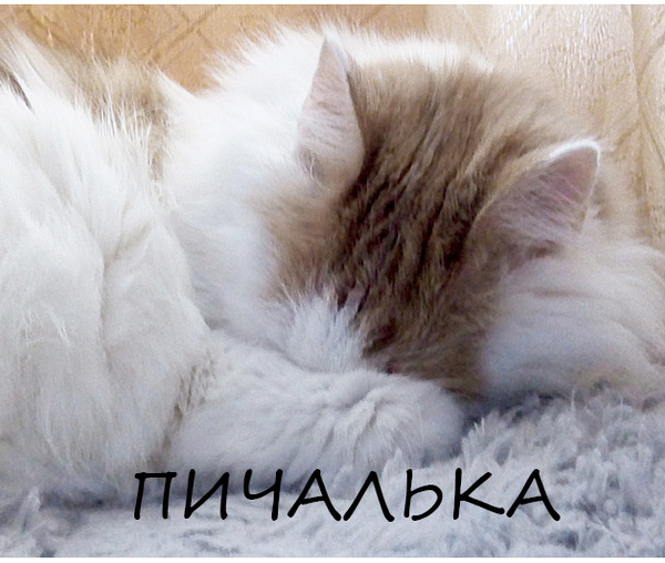 Поиски работы в Москве... о наболевшем