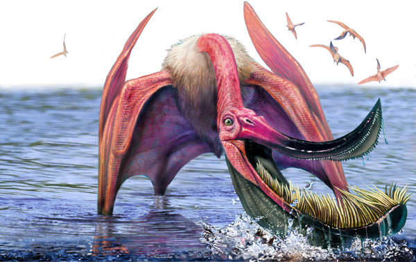 Картинки по запросу Птерозавры фото