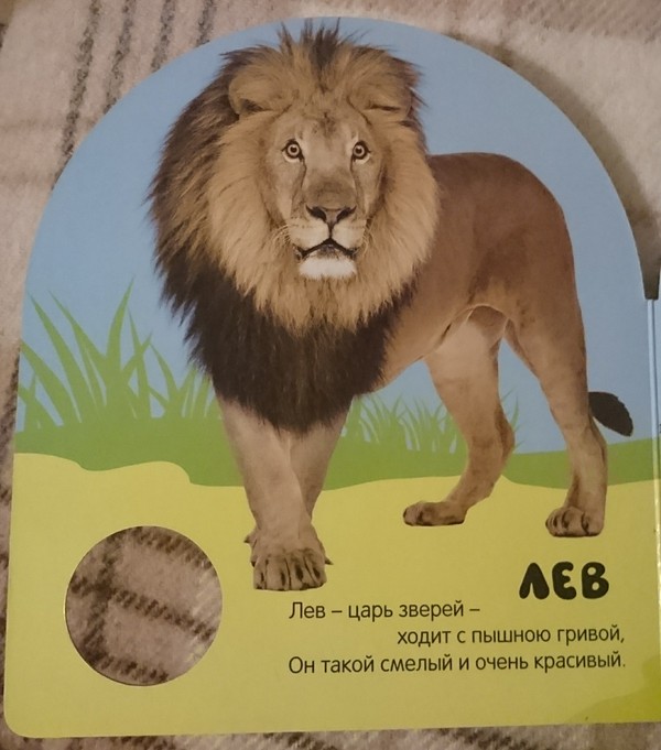 The lion in the children's book seems to have seen some shit. - Some shit, The photo, a lion