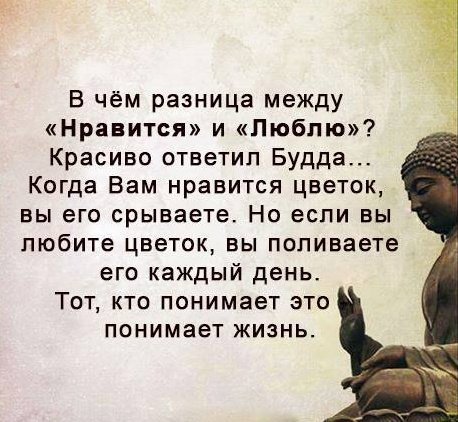Wise Buddha - Buddha, Love, Awareness