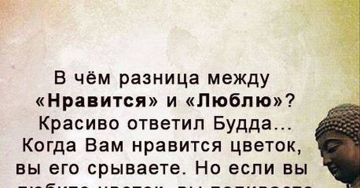 Любить и нравится это разные. Изречения Будды. Разница между Нравится и люблю Будда. Мудрость Будды. Афоризмы Будды.