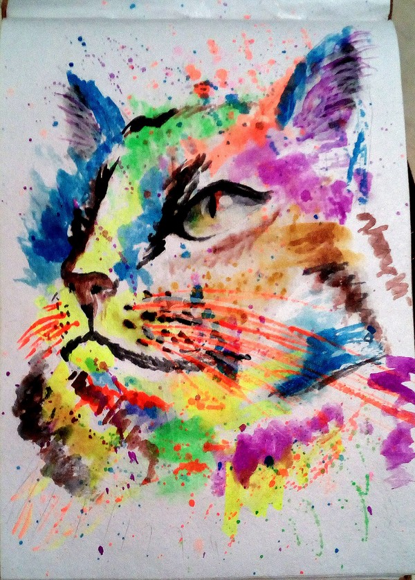 Kotey - My, cat, My, Watercolor, Failure