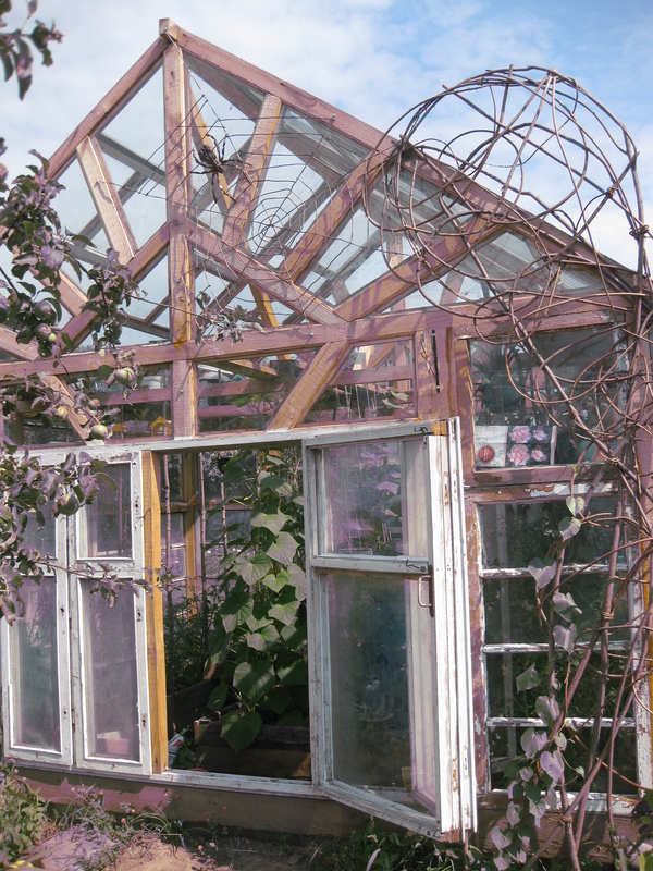 A greenhouse from everything that was. - , Greenhouse, Dacha