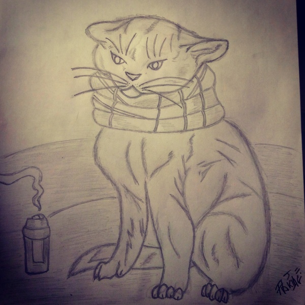 Winter cat - My, cat, Pencil, Drawing