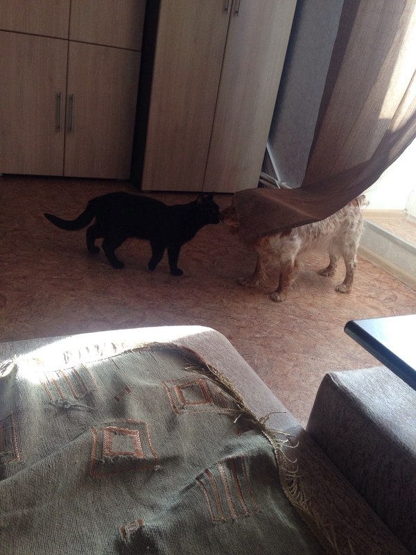 �������� �������.