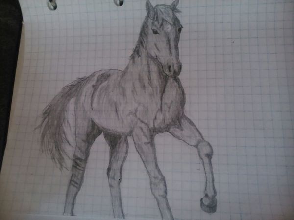 Horse - My, Art, Horses