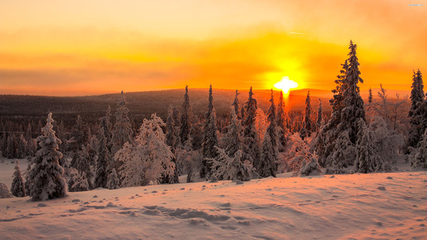 Beauty! - Winter, Russia, Sunset, Hunting and fishing, beauty