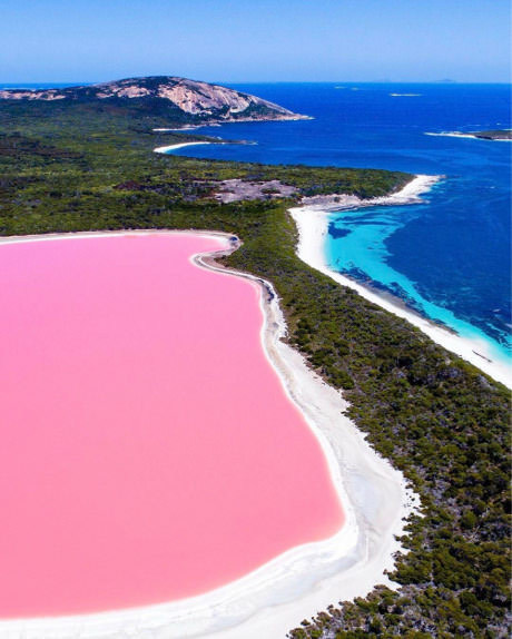 Pink Lake - Australia! - Lake, Pink, Australia, The 14th of February