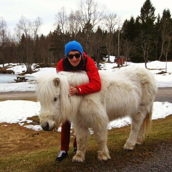 Yeti of the equine family - My, Pony, Horses, Animals, Norway, Forest, Yeti, Miracle