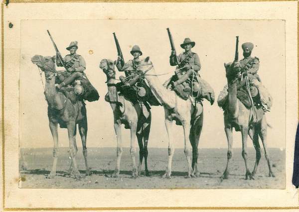    , ,  , 1916-1919, 