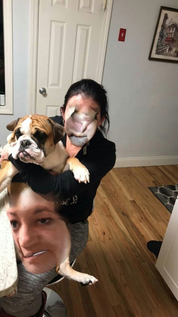 Something went wrong - Face swap, Dog