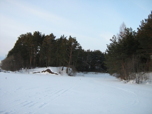 Winter in the Tver region - Longpost, Walk, Forest, Snowdrift, Tver region, Winter, My