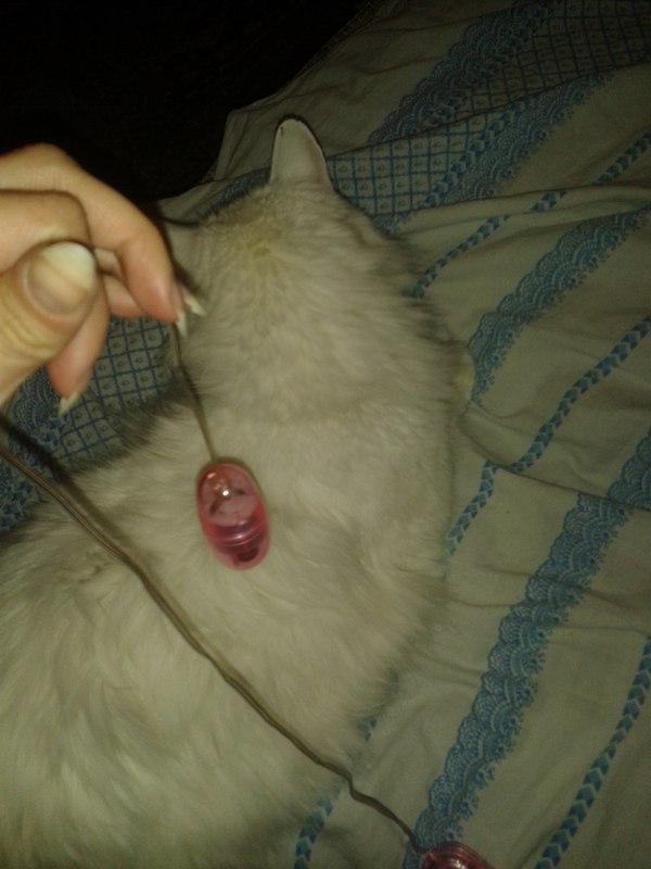 14 �������, �������, �����������. ��������� �������?)