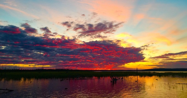 Here are some colors in the ribbon) - My, Karelia is my summer nature, 