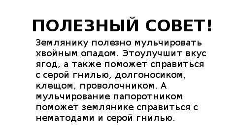 Полезные советы огороднику - Огород, Советы огороднику, Народные средства, Много букв, Длиннопост