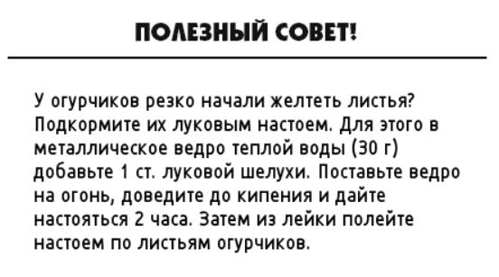 Полезные советы огороднику - Огород, Советы огороднику, Народные средства, Много букв, Длиннопост